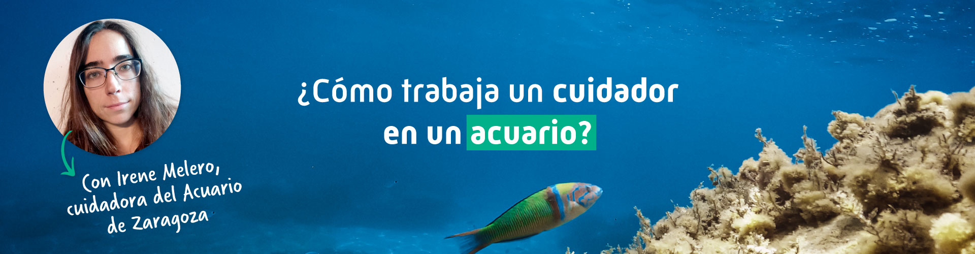 ¿Cómo trabaja un cuidador en un acuario?