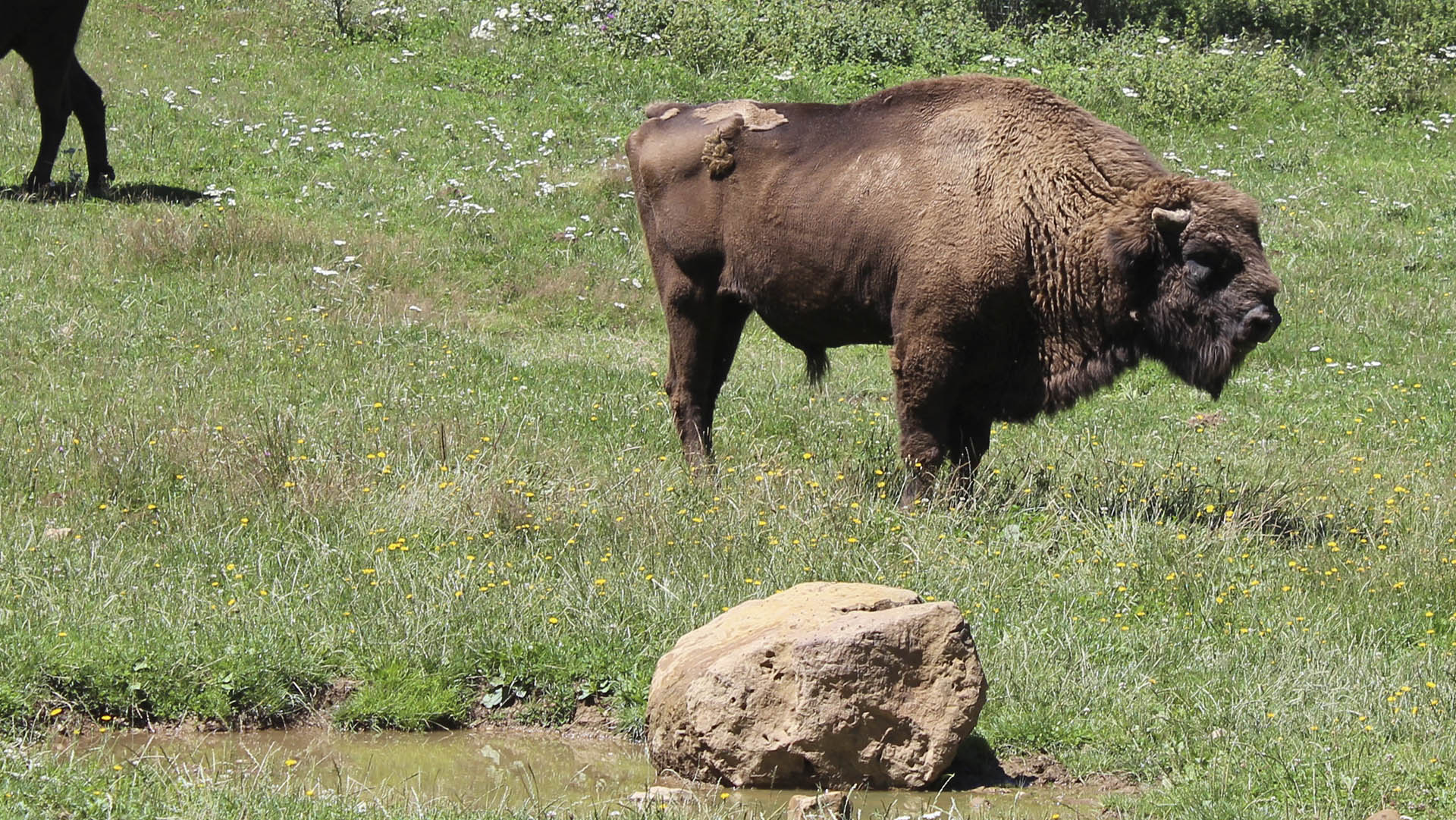 Prevención de incendios
