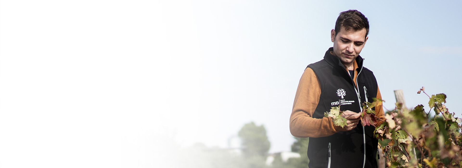 Opiniones Cursos Agricultura, Ganadería y Medioambiente