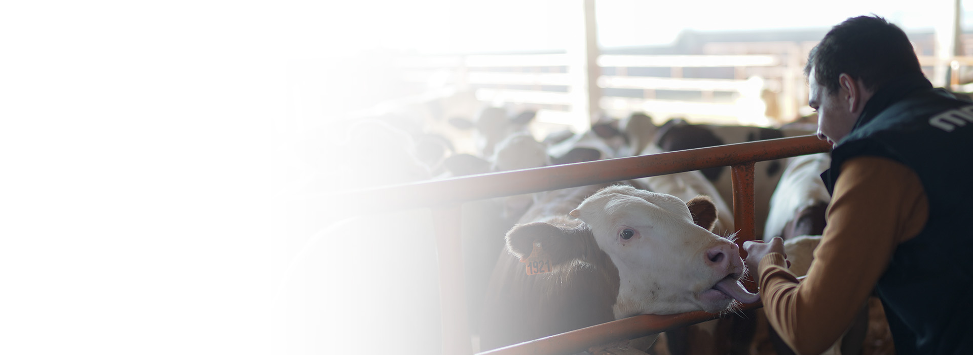 contenidos agricultura, ganadería y medioambiente