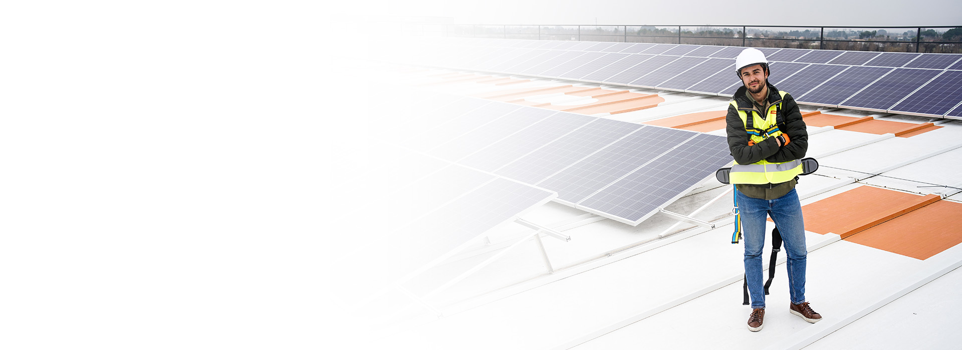 Contenidos renovables