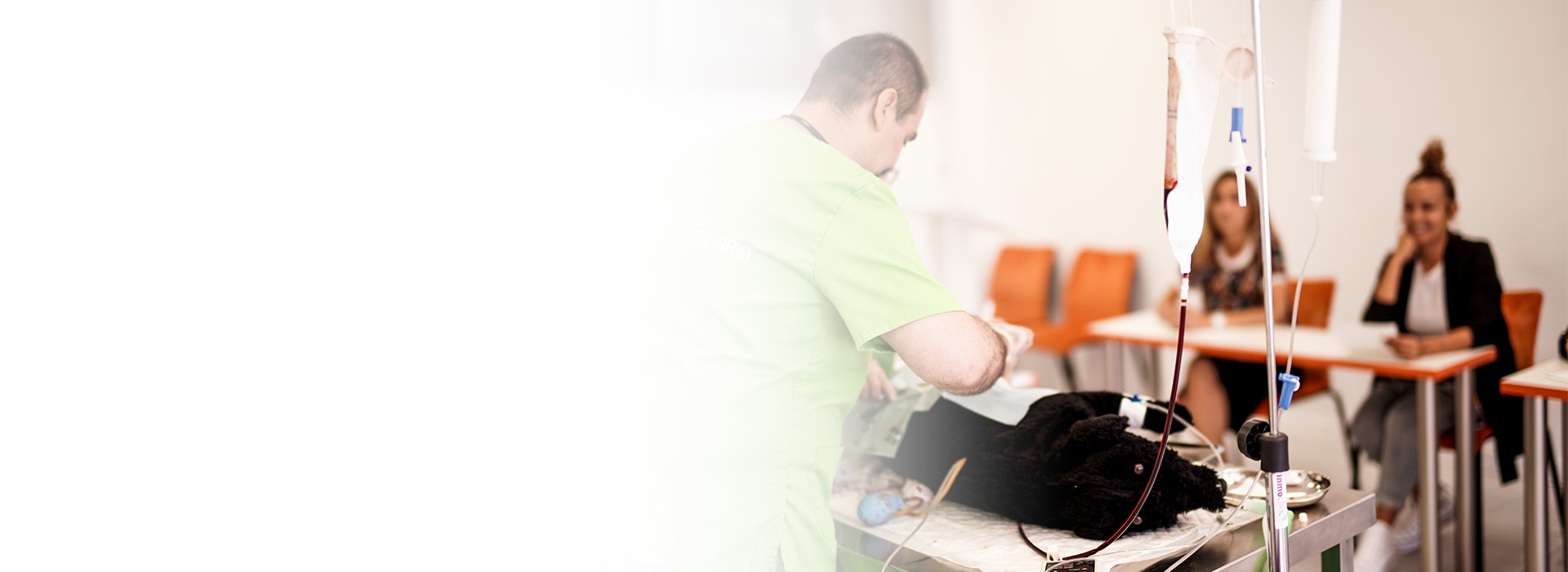 Contenidos Veterinaria