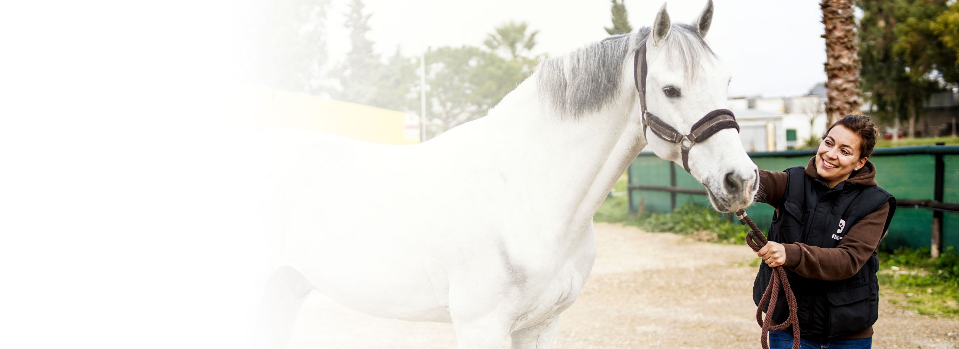 Expertos Veterinaria