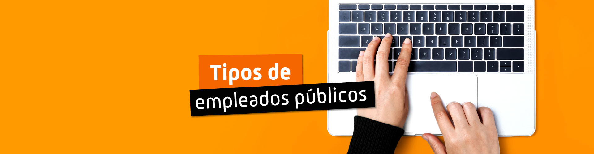 Tipos de Empleados Públicos